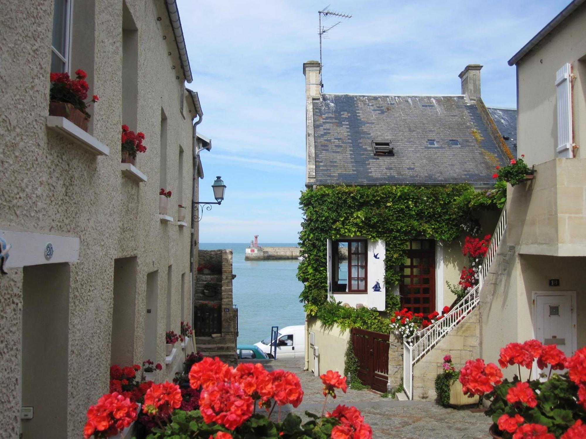 Gite "Au P'Tit Tourois" De Plain-Pied Tout Confort Avec Veranda Proche D'Omaha Beach Et De Bayeux Accueillant Les Animaux Esterno foto